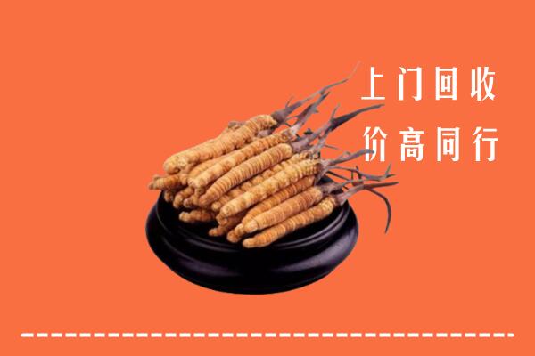 高价求购：舟山市嵊泗回收散虫草