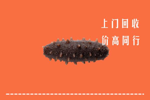 高价求购：舟山市嵊泗回收海参