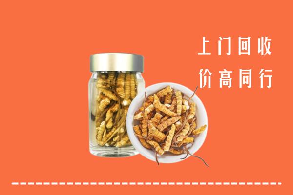 舟山市嵊泗回收冬虫夏草