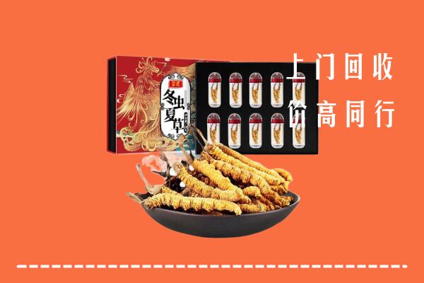 舟山市嵊泗回收虫草